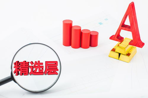 金融科技公司艾融軟件成首批新三板精選層新股 兩年前沖擊a股失敗被駁回,為金融機構(gòu)提供技術(shù)開發(fā)工行為最大客戶