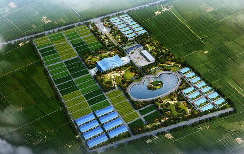 涼城縣供熱管網(wǎng)概念規(guī)劃設(shè)計怎么寫